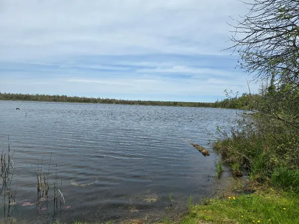 6732 Kelley Dr, Millersburg, MI 49759