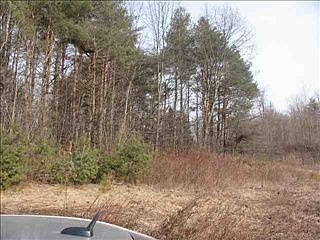 2nd image of 534 Hansen Rd