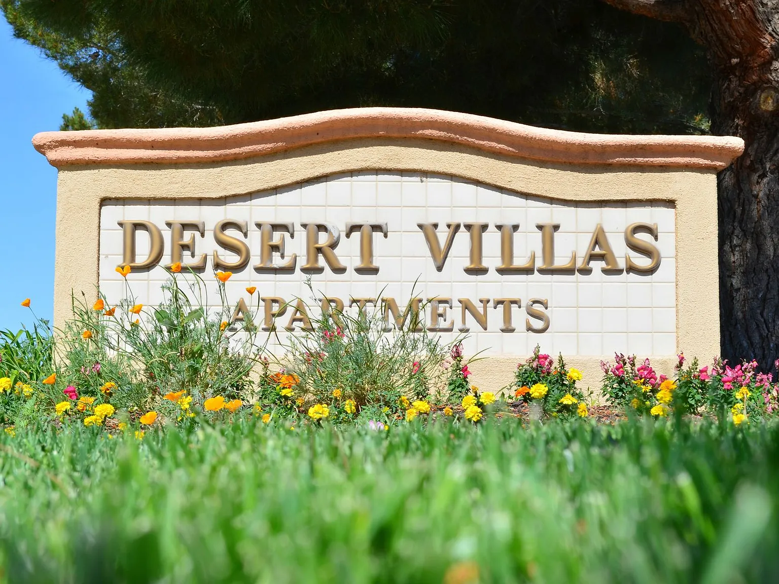 Desert Villas Apartment Homes — Photo 1