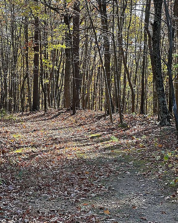 5 Bushy Ridge Dr, Star Tannery, VA 22654 Zillow