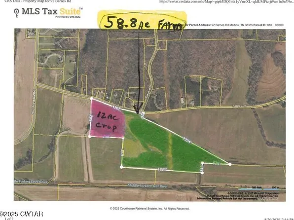 92 Barnes Rd, Medina, TN 38355