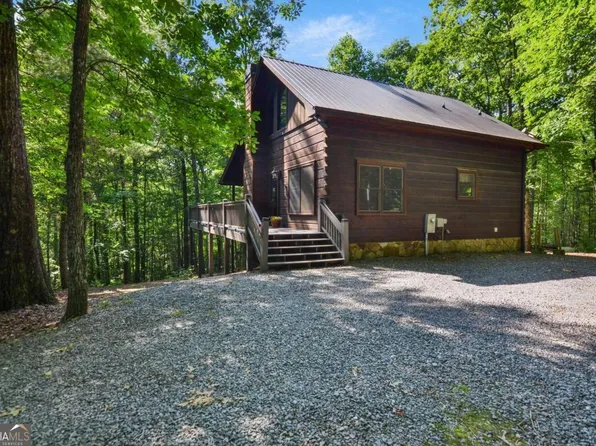 63 Bushy Head Rd #1, Cherry Log, GA 30522