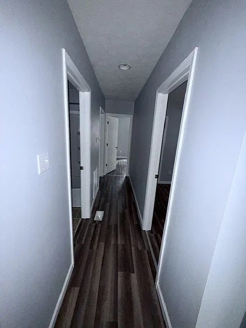 2 bed, 1000 sqft, $975 — Photo 2