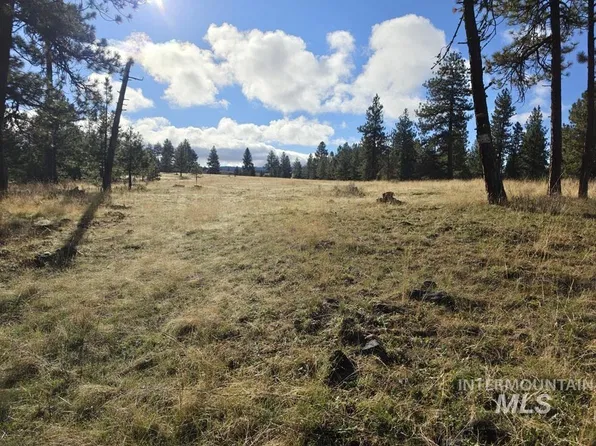 Joseph Plains Rd, White Bird, ID 83554