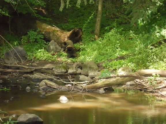 5th image of L18 River Dr