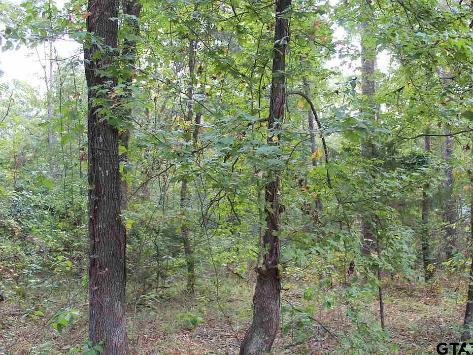 2nd image of LOT 126449 Private Road 8585
