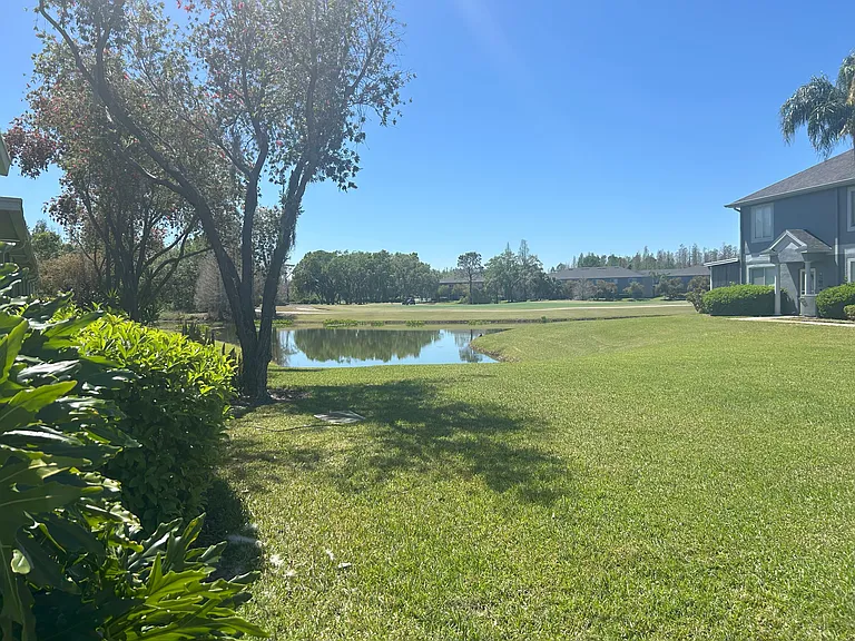 Backyard View