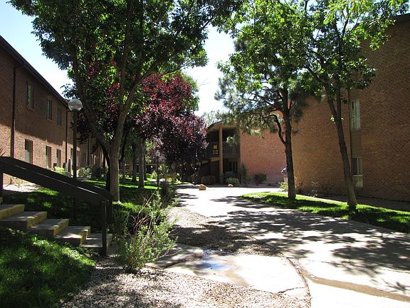 Grassy Area 2