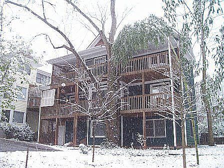 Saturday snow - January 2008
