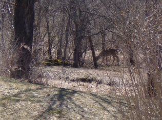 6488 Stinson Rd, Arcade, NY 14009