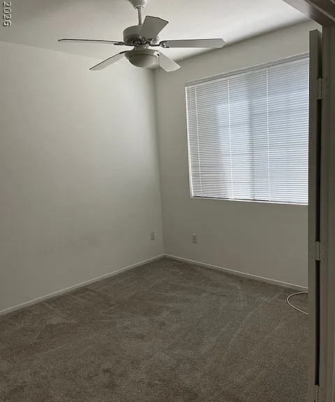 9901 Trailwood Dr #1125 — Photo 8