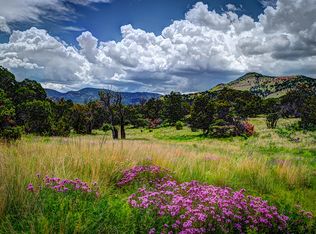 Lookout Loop, Datil, NM 87821