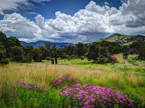 Lookout Loop, Datil, NM 87821