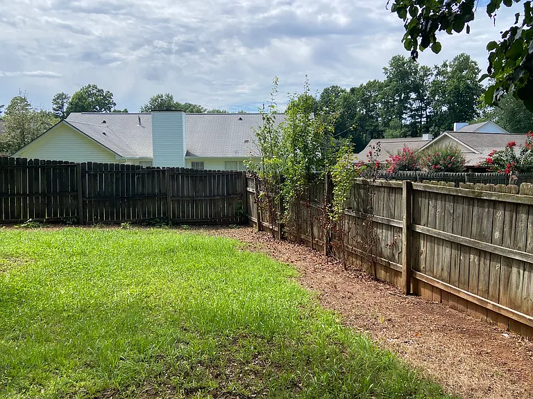 Backyard 3
