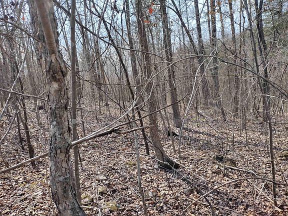 4th image of 0 Younger Access Rd
