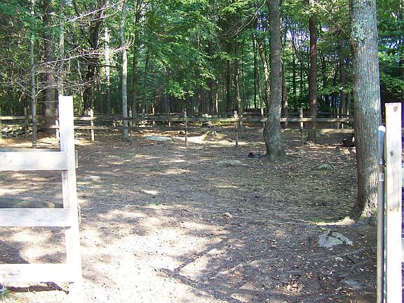 3 shaded pastures left behind barn - 1 behind right side of barn