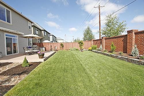 Back Yard 2