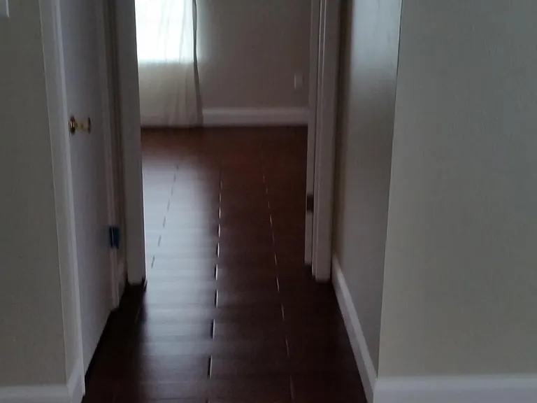 hallway to bedroom has a walk in closet