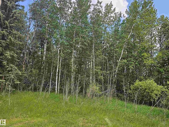 4th image of 4418 State Highway 633