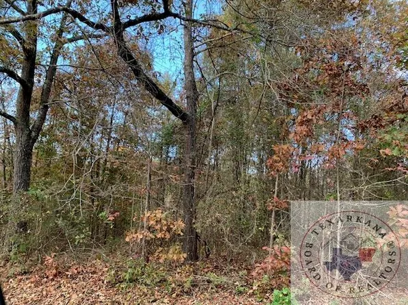 Tbd Cr 4217, Simms, TX 75574