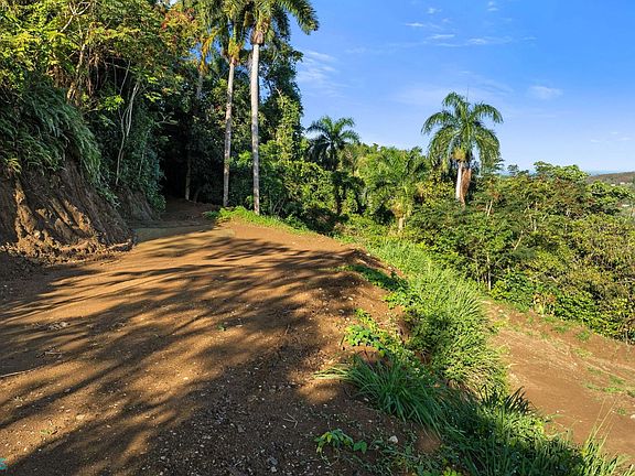 5th image of 0 Carr #411