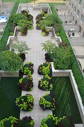 Rented by New Vista Horizons, Inc.