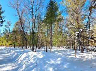 Vl 20 29 Monroe Ave, Grayling, MI 49738