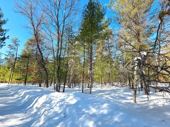 Vl 20 29 Monroe Ave, Grayling, MI 49738