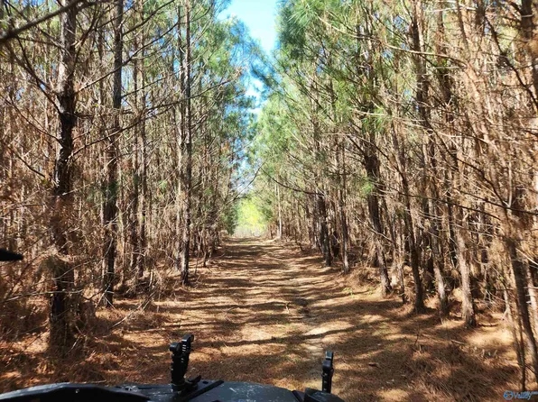 Lovejoy Rd, Hamilton, AL 35570