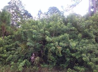 320 Wells Ave, Lehigh Acres, FL 33936