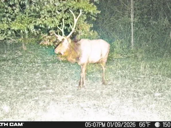 150 Sycamore Crk, Van Lear, KY 41265