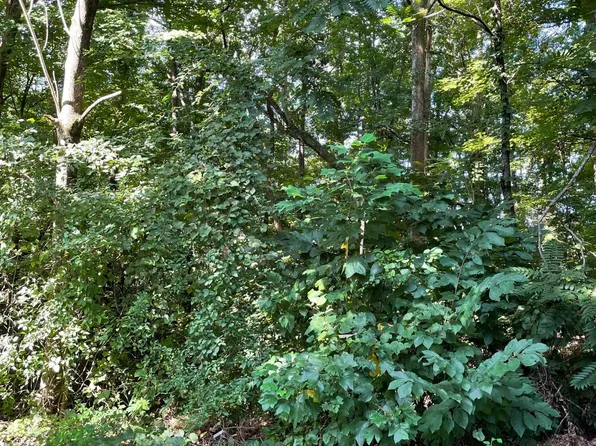 4013 Eagles Nest Dr, Morristown, TN 37813