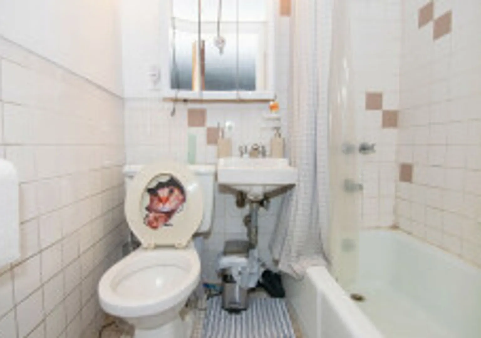 5 bed 2 bath - Brighton - 9/1 — Photo 3