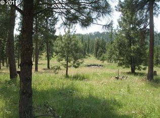 0 Smith Mountain Rd, Wallowa, OR 97885