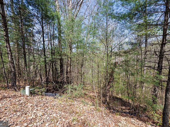 5th image of 0 Laurel Woods #54