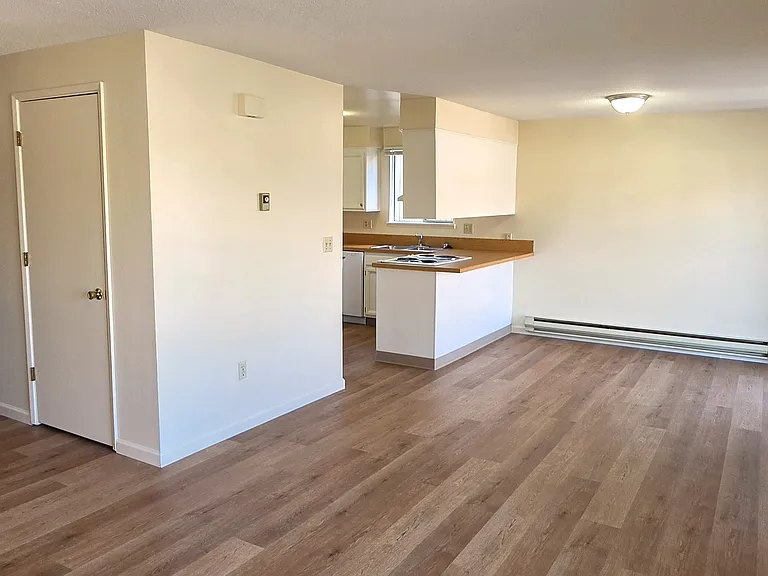 LIVING & DINING AREA WITH ENTRYWAY CLOSET