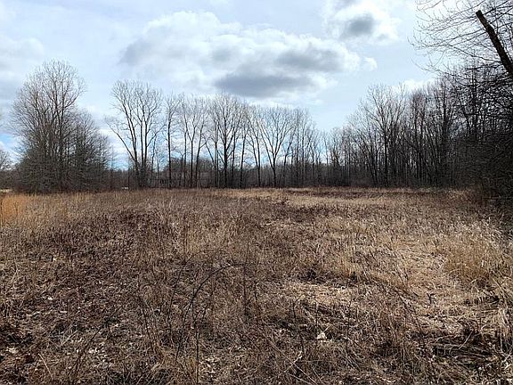 From the back of clearing