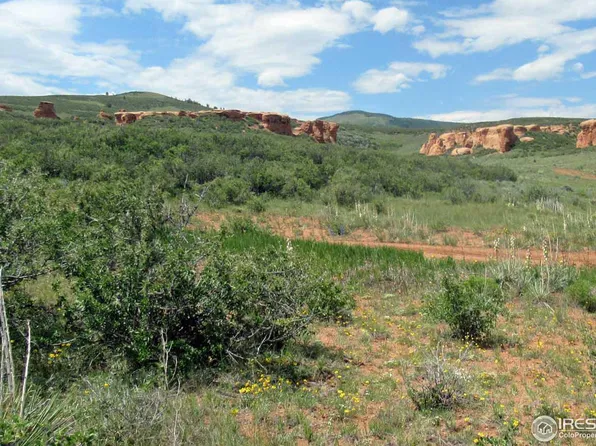 Buffalo Run Rd, Livermore, CO 80536