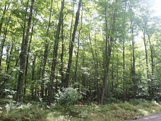 2nd image of On Wagner Vogt Rd