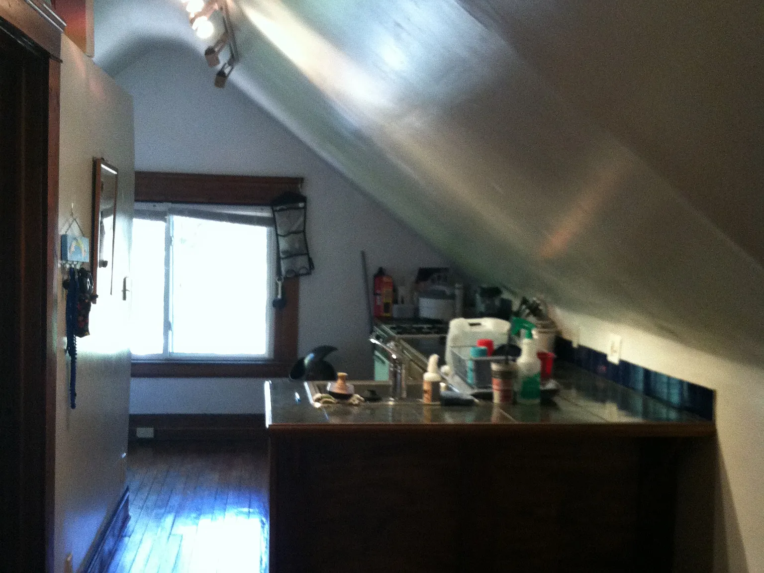 1 bed, 700 sqft, $895 — Photo 4
