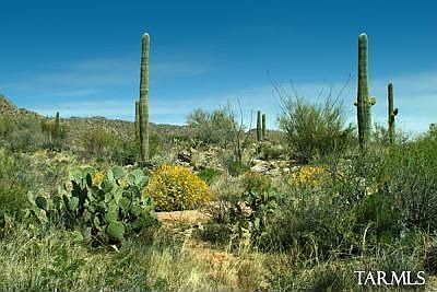 5th image of 1074 W Tortolita Mountain Cir
