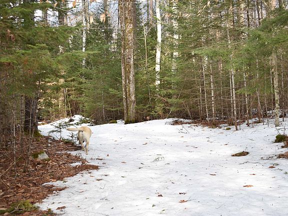 3rd image of 00 Stimson Road