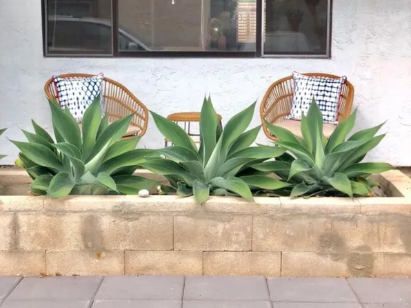 1253 N Vulcan Ave APT 3, Encinitas, CA 92024