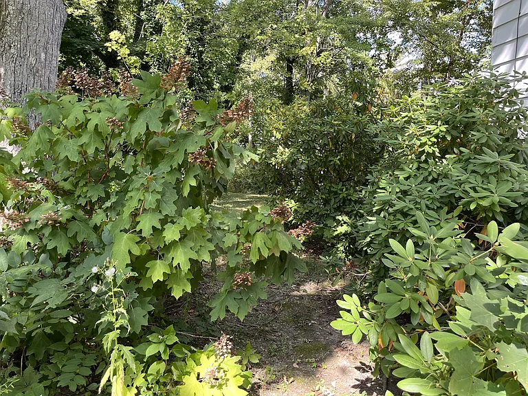 2863 Pickle Rd — Photo 8