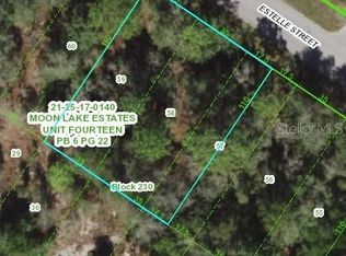9425 Estelle St, New Port Richey, FL 34654