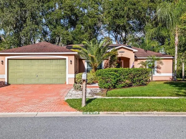 24437 Painter Dr, Land O Lakes, FL 34639