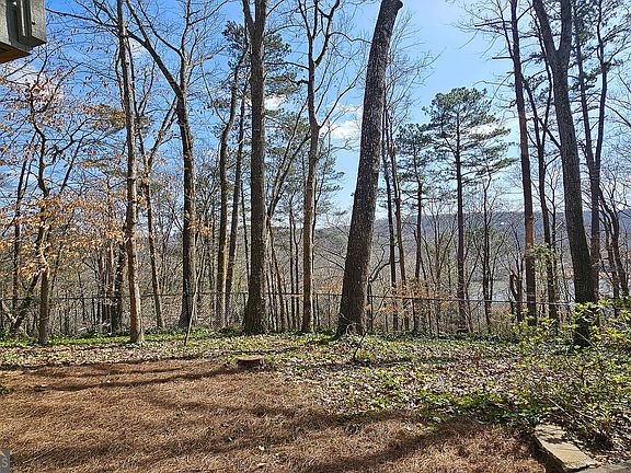 4th image of 128 River Ridge Ln