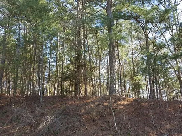 1707 Four Mile Church Rd, Ball Ground, GA 30107