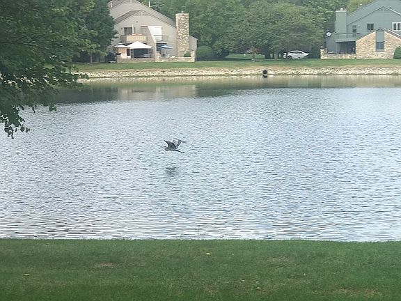 Big Blue switching shoreline