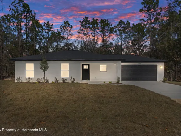 14197 Red Marlin Ave, Brooksville, FL 34614